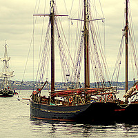 Buy canvas prints of Coming Into Brixham by Peter F Hunt