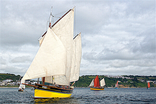 Looe Lugger Sailing Picture Board by Peter F Hunt