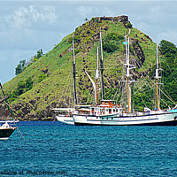 Buy canvas prints of Pigeon Island Fort Rodney by Peter F Hunt