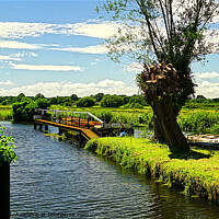Buy canvas prints of Old Woking Canal Surrey  by Peter F Hunt