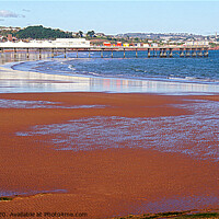 Buy canvas prints of Winter Sunshine Over Paignton Sands by Peter F Hunt