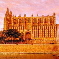 Buy canvas prints of Palma Cathedral Sunset by Peter F Hunt