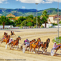 Buy canvas prints of Palma Trotting Race by Peter F Hunt