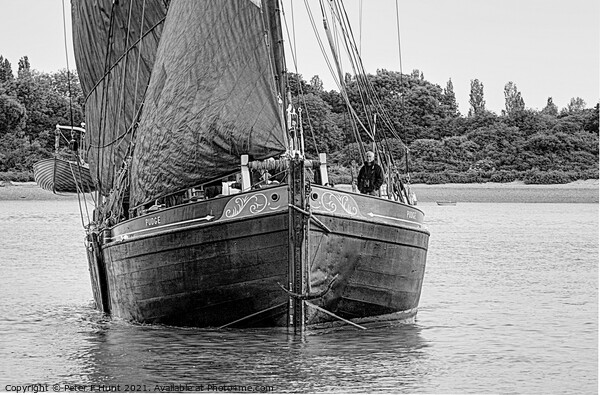 Sailing Barge Pudge  Picture Board by Peter F Hunt