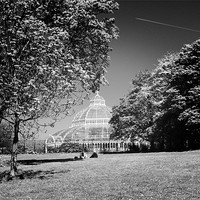 Buy canvas prints of Palm House Sefton Park by phillip murphy