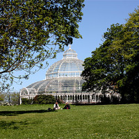 Buy canvas prints of Palm House by phillip murphy