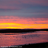 Buy canvas prints of Early morning sunrise in Lossiemouth by Lloyd Fudge