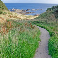 Buy canvas prints of path down to beach by Lloyd Fudge