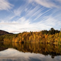 Buy canvas prints of Loch Faskally Autum by David Brown