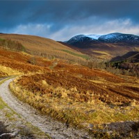 Buy canvas prints of Glen Tilt Before the Storm by David Brown