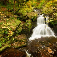 Buy canvas prints of Upper Falls The Blackspout by David Brown