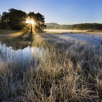Buy canvas prints of  Loch Morig Sunrise by David Brown