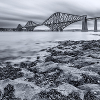 Buy canvas prints of  River Forth by David Brown