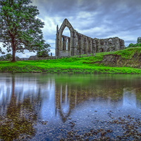 Buy canvas prints of Bolton Abbey Morning by Steven Purcell