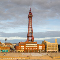 Buy canvas prints of Blackpool Tower by Steven Purcell