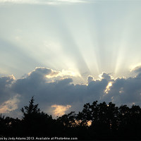 Buy canvas prints of Sunrays1 by Pics by Jody Adams