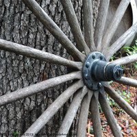 Buy canvas prints of An ole Wheel by Pics by Jody Adams