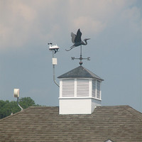 Buy canvas prints of Weathervane by Pics by Jody Adams