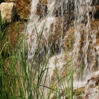 Buy canvas prints of Waterfall and the Reeds by Pics by Jody Adams