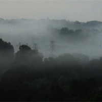 Buy canvas prints of Fog Admist the Trees by Pics by Jody Adams