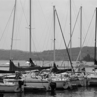 Buy canvas prints of Sailboats in Black and White by Pics by Jody Adams