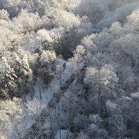 Buy canvas prints of Snowy Hills by Pics by Jody Adams