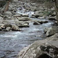 Buy canvas prints of Brook from the smokies-001 by Pics by Jody Adams