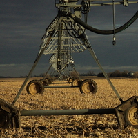 Buy canvas prints of Nebraska Corn Fields by Pics by Jody Adams