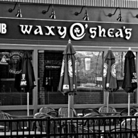 Buy canvas prints of Waxys in Black and White by Pics by Jody Adams