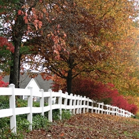 Buy canvas prints of  White Fence by Pics by Jody Adams