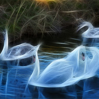 Buy canvas prints of fractal swans by kev bates