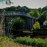 Buy canvas prints of The Iron Bridge by Tim Finch