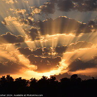 Buy canvas prints of Glorious Sunset shining Golden Rays of Light by Wayne Usher
