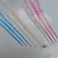 Buy canvas prints of Red Arrows by Helen Edwards