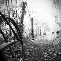 Buy canvas prints of Morning Cycle by Colin Richards