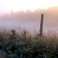 Buy canvas prints of Early misty Autumn Morning, Stone, Dartford by Colin Richards