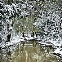 Buy canvas prints of Snow Storm by Colin Richards