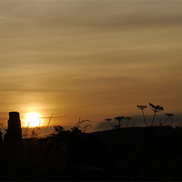 Buy canvas prints of Sunset at Easby Abbey by Susan Mundell