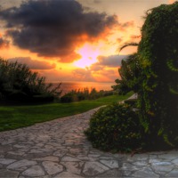 Buy canvas prints of cyprus sunset by Robert Bennett
