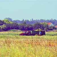 Buy canvas prints of Tractor in the fields by Gemma Shipley