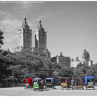 Buy canvas prints of Simply Central Park by Peter Lennon