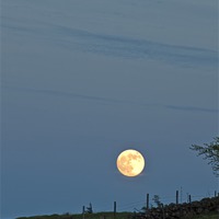 Buy canvas prints of Moonrise over the Collin by Peter Lennon