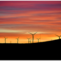 Buy canvas prints of windmills at dusk by Peter Lennon