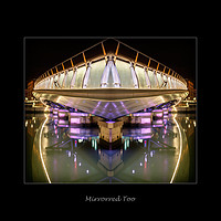 Buy canvas prints of Mirrored Too by Peter Lennon