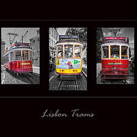 Buy canvas prints of Lisbon Trams  by Peter Lennon
