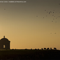 Buy canvas prints of Mussenden Temple in silhouette by Peter Lennon