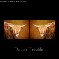 Buy canvas prints of Double Trouble by Peter Lennon
