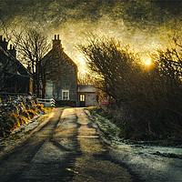 Buy canvas prints of The House In The Trees at Veensgarth, Shetland. by Anne Macdonald