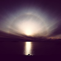 Buy canvas prints of Shetland Pony And Sun Halo by Anne Macdonald