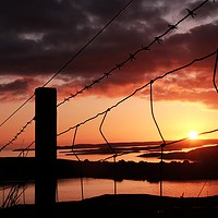 Buy canvas prints of Fence In The Sunset at Uradale, Shetland. by Anne Macdonald